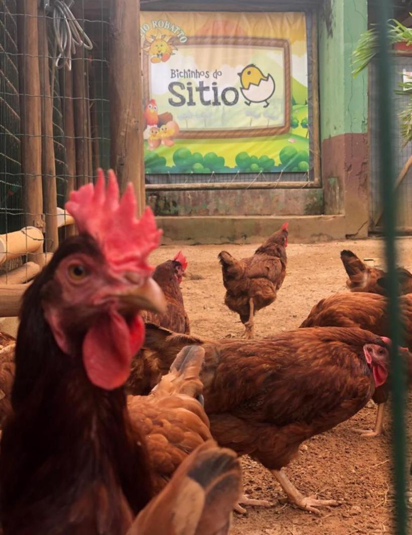 Sitio Robatto Ecopousada Camaçari Εξωτερικό φωτογραφία